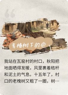 老槐树下的疤by请让钱砸我免费阅读小说大结局