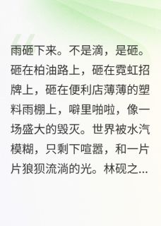 阿姨不可以·便利店偶遇（全本）林砚之周延完整章节列表免费阅读