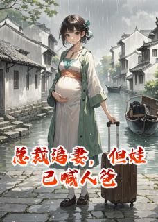 良心推荐总裁追妻，但娃已喊人爸小说试读