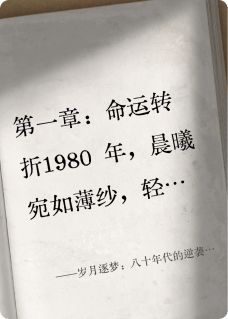 新上岁月逐梦：八十年代的逆袭人生凉拌玛卡密密小说免费阅读