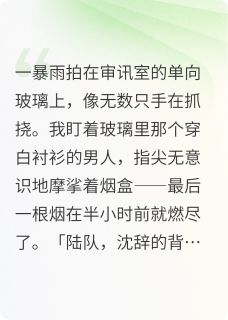 高质量小说十年缉凶在线试读