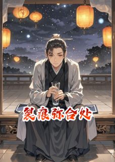 抖音爆款小说裂痕弥合处刘玄庞士元免费txt全文阅读