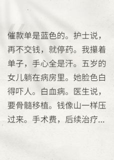 拉克夏塔写的小说死遁后前夫他一夜白头晓晓陈砚全文阅读