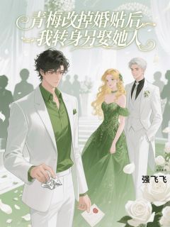 热门推荐青梅改掉婚贴后，我转身另娶她人by玖日故事小说正版在线