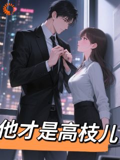 【热文】他才是高枝儿主角沈遇顾宴之小说全集免费阅读