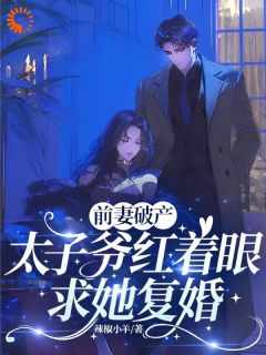 好看的前妻破产，太子爷红着眼求她复婚小说-前妻破产，太子爷红着眼求她复婚最新章节阅读