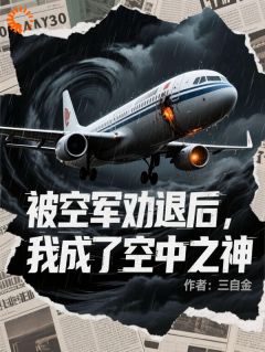 江辰秦语小说(被空军劝退后，我成了空中之神)_江辰秦语小说最新章节