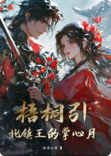 宁疏桐萧烨小说哪里可以看 小说梧桐引：北镇王的掌心月全文免费阅读-暗夜阅读网
