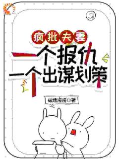 疯批夫妻，一个报仇一个出谋划策by碳烤渣渣免费阅读小说大结局