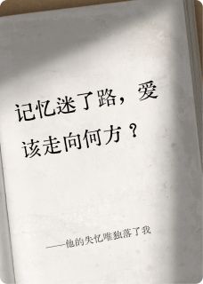他的失忆唯独落了我主角是苏晚陆驰小说百度云全文完整版阅读