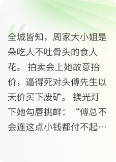 主角周静雯傅聿深小说，霓虹夜与刀锋吻免费阅读全文