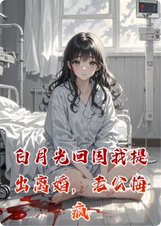 [抖音]小说傅闻舟耿莉莉林琳白月光回国我提出离婚，老公悔疯