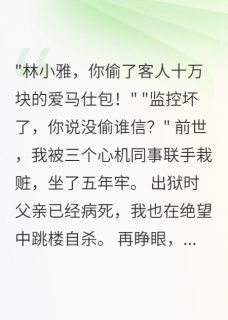 同事栽赃我偷包后，重生我杀疯了未删减阅读