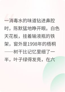 风过无痕，各自安好无广告阅读 陈默林晚免费在线阅读