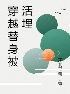 东北马哥写的小说穿越替身被活埋在线阅读