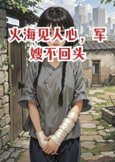 全章节小说火海见人心，军嫂不回头琮芮最新阅读