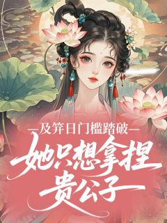 及笄日门槛踏破，她只想拿捏贵公子阿婉萧砚-小说未删减阅读