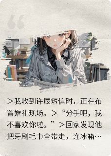 许辰苏晴全文最新章节正版小说免费阅读