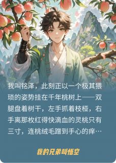 【我的兄弟叫悟空】小说在线阅读-我的兄弟叫悟空免费版目录阅读全文