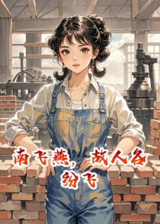 南飞燕，故人各纷飞小说最后结局，李建斌白玲陈秀娟百度贴吧小说全文免费