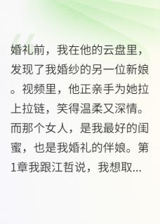 主角江哲林淼小说，男友送我二手婚纱免费阅读全文