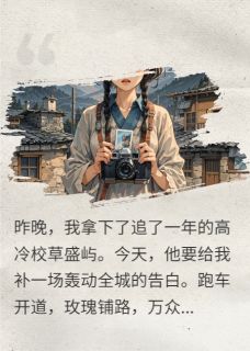 一念系青棠(盛屿林溪初)全文章节在线阅读