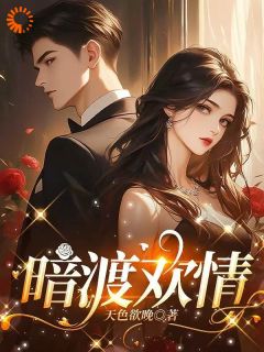 (精品)暗渡欢情小说