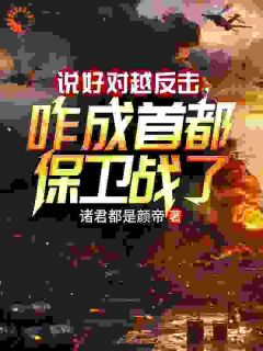 说好对越反击，咋成首都保卫战了全文目录-苏墨宋川宇小说无弹窗阅读
