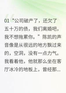 抖音热推小说创业失败后的夫妻情全文在线阅读