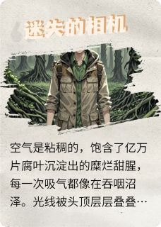 迷失的相机精彩小说-迷失的相机目录阅读-暗夜阅读网