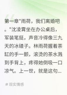 好文热推小说首长老公要离婚我转身就签字主角林雨荷沈凌霄全文在线阅读