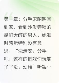 昭昭念安小说百度云完整章节列表免费阅读