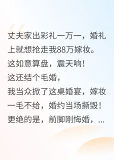婆婆抢88万嫁妆，我把耳光甩给她凌霄王秀芬李泽全章节完结版在线阅读
