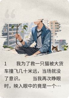 猫师傅爱修车的小说重生成猫后主角是秦朝阳林晚夕张绍辰