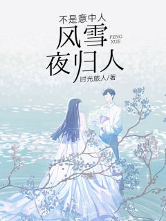 小说推荐风雪夜归人，不是意中人完结版全章节阅读