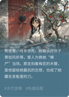 琴落梅梢免费小说作者霜月染全文阅读