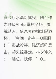 好看的Alpha对决夜，信息素失控绑定小说，主角陆沉林夕最新章节阅读