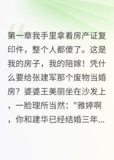 老公瞒着我养小三在哪免费看，张建华王美丽小说章节目录阅读