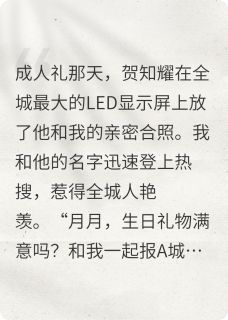 第一顺位继承人小说的书名是什么-暗夜阅读网