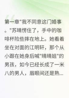 苏晴江明轩浩然全集小说_前任在新婚夜来找我完结版阅读