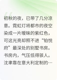 暗夜交锋：首席总裁的卧底妻小说(完结版)-苏晚沈聿在线阅读