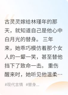 和替身离婚后，他后悔了小说_和替身离婚后，他后悔了小说结局阅读