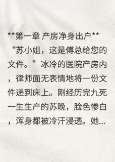 苏晚傅霆渊苏小熙完整未删减版在线阅读 苏晚傅霆渊苏小熙结局-暗夜阅读网