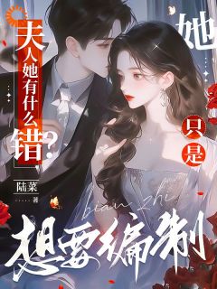 全网首发完整小说夫人她有什么错？她只是想要编制主角沈婳陆京阙在线阅读