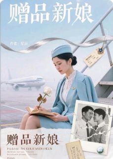 书荒推荐困在金笼里的飞鸟:赠品新娘(林云薇陈浩)在线试读