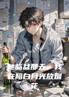 她临盆那天，我在陪白月光放烟花免费阅读全文，主角林清梦许念修瑾小说完整版