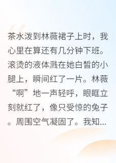 无广告小说恶毒女配她只想下班-陆沉林薇在线阅读