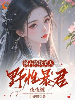 火爆强占娇软美人：野性暴君夜夜缠小说，主角是宋澜音赫连烬在线阅读全文无删减
