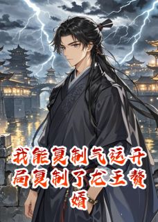 我能复制气运开局复制了龙王赘婿萧凡叶辰-小说txt全文阅读