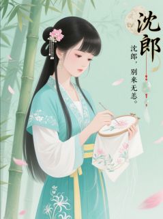 绣针藏锋：沈郎，别来无恙(苏晚意沈砚之)全文完整版阅读